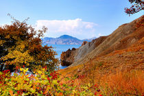 Autumn foliage on the hillside of a Quiet Bay, Crimea von Yuri Hope