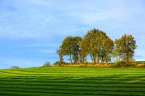 Ein ruhiger Herbsttag von gscheffbuch