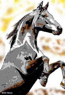  Rearing Wild Horse  von Sandra  Vollmann