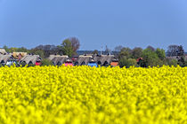 Ahrenshoop im Raps von Borg Enders