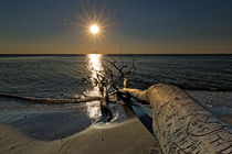 Weststrand am Abend von Borg Enders