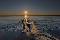 Sonnenuntergang am Weststrand by Borg Enders