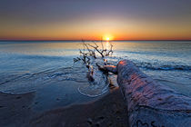 Weststrand am Abend von Borg Enders