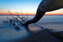 Zingst Weststrand von Borg Enders