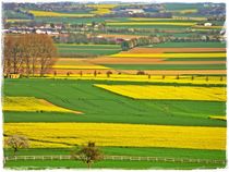 Landscape Wetterau Nr... by Sandra  Vollmann