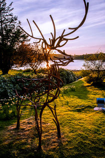 Stag at Shieldaig Lodge Gairloch at Sunset by Les Mitchell