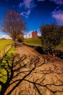 The Path to Bavaird Castle  by Les Mitchell