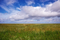 Nordisch schön - Westerhever von AD DESIGN Photo + PhotoArt