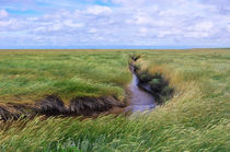 Landschaftsimpression Westerhever von AD DESIGN Photo + PhotoArt