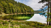 Eibsee-Nordwestufer by Erhard Hess