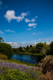 Banks of River Tay near Ballathie by Les Mitchell