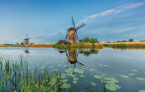 Windmühle Kinderdjik Holland Niederlande by Dennis Stracke