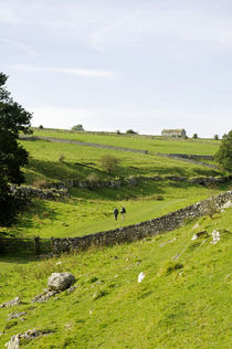 Walkers at Lathkill Dale von Rod Johnson