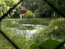 Becomes green oasis... by voelzis-augenblicke