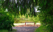 Look from under the fir branches von Yuri Hope