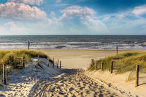 Weg durch die Dünen zum Strand. von Peter Roder