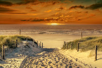 Auf dem Weg durch die Dünen zum Strand von Peter Roder