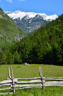 Im Triglav Nationalpark by gugigei