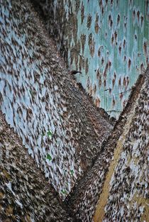 palm tree structures... 6 by loewenherz-artwork