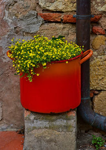 flower pot - BlumenTopf by Peter Bergmann