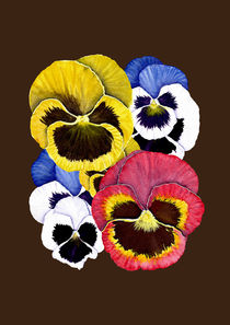 Pansies von Kris  Efe