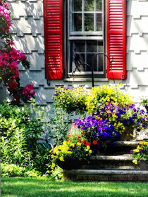 Flowers and Red Shutters von Susan Savad