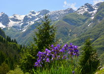 Frühling im Triglav Nationalpark by gugigei