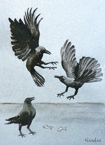 Crow Fight von Nandan Nagwekar