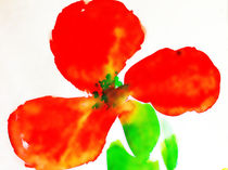 Red flower von Maria-Anna  Ziehr
