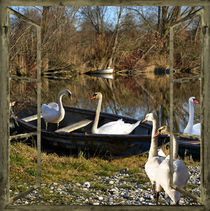 Schwanensee VIII - Der Ausflug von Chris Berger