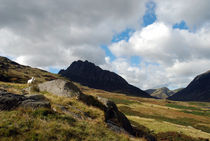 Tryfan Mountain von Harvey Hudson