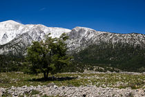 The White Mountains of Anopoli von Markus Hartung