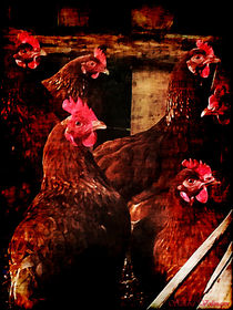 Countrysides Chickens by Sandra  Vollmann