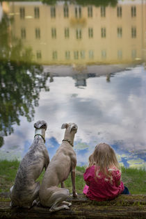 Protected by the Whippets  by Chris Berger