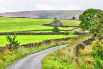 Idylle in den Yorkshire Dales by gscheffbuch