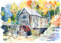 Water Wheel von Sarah Ferguson