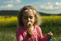 Pusteblume von Chris Berger