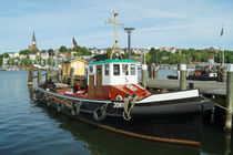 Jonny im Flensburger Hafen von Sabine Radtke