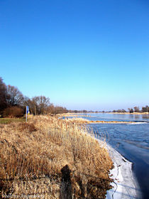 Einsamer Schatten by voelzis-augenblicke