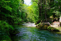 Bavarian Nature von Thomas Matzl