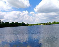 Heaven and Earth by Michael Naegele