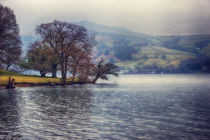 Rain at the Lake von Vicki Field