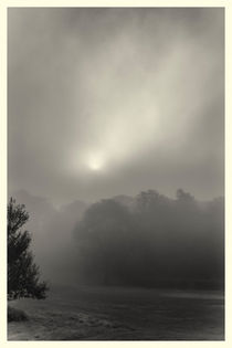 Nebelmorgen von phobeke