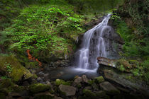 Rhigos Waterfall von Leighton Collins