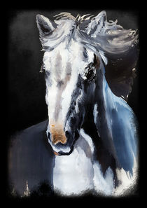 Wild White Horse from the Dark  by bluedarkart-lem