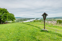 Rochusbergblick aufs Rheintal von Erhard Hess