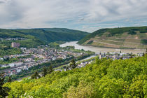 Bingen vom Rochusbergturm 9 von Erhard Hess