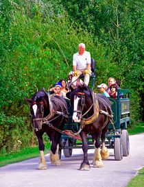 Horse-drawn Cart, Carsington Water by Rod Johnson