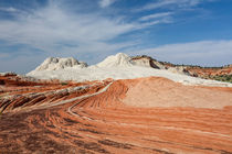 Sandsteinfarben, White Pockets, Vermilion Cliffs National Monument von geoland