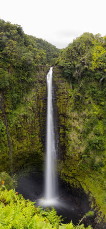 Akaka Falls, Wasserfälle, Ostküste von Big Island of Hawai'i, USA von geoland